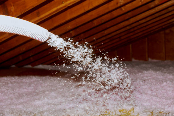 Best Commercial Insulation Contractor  in Sycamore, IL