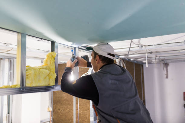 Insulation Replacement Services in Sycamore, IL