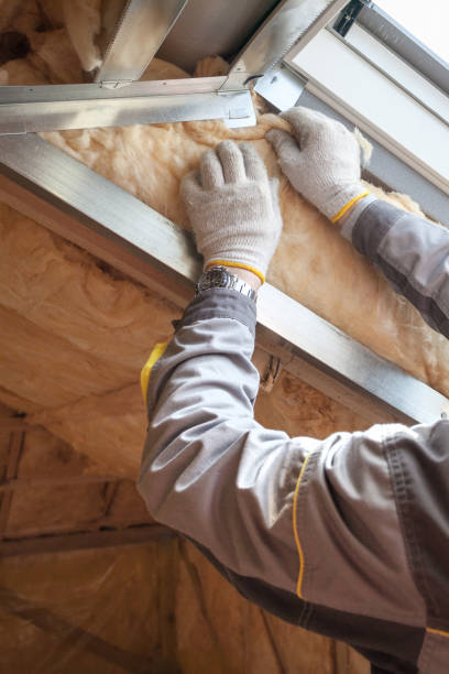 Best Affordable Insulation Services  in Sycamore, IL