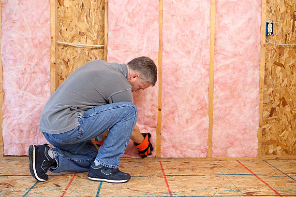 Best Home Insulation Services  in Sycamore, IL