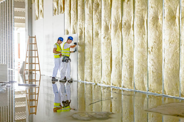 Best Insulation Contractor Near Me  in Sycamore, IL